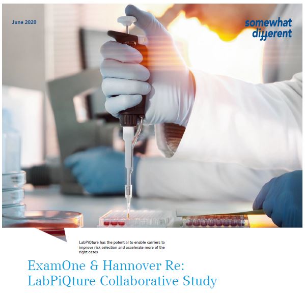 Hannover Re LabPiQture white paper 